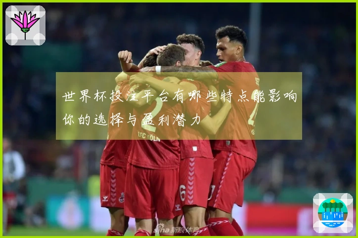 世界杯投注平台有哪些特点能影响你的选择与盈利潜力