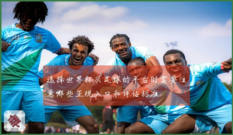选择世界杯买足球的平台时需要注意哪些正规入口和评估标准