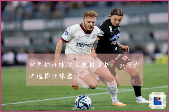 世界杯让球投注数据分析：如何科学选择让球盘口