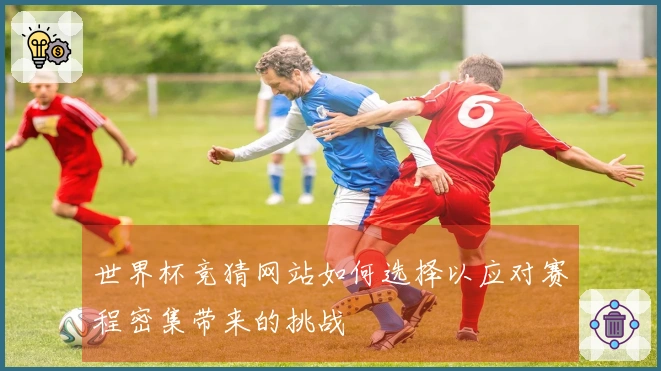 世界杯竞猜网站如何选择以应对赛程密集带来的挑战