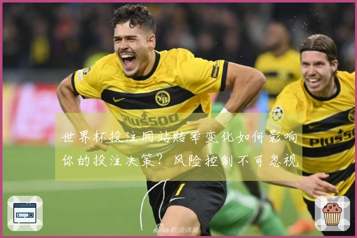 世界杯投注网站赔率变化如何影响你的投注决策？风险控制不可忽视
