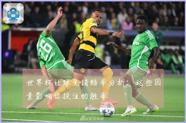 世界杯让球竞猜赔率分析：这些因素影响你投注的胜率
