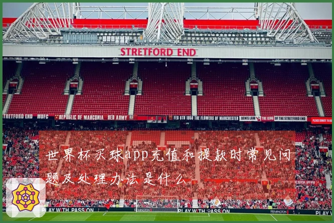 世界杯买球app充值和提款时常见问题及处理办法是什么