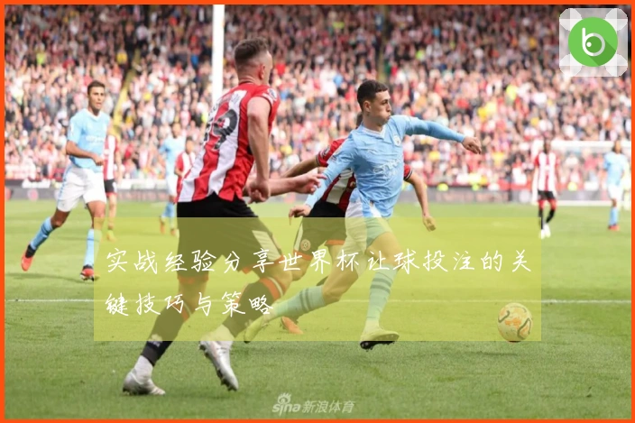 实战经验分享世界杯让球投注的关键技巧与策略