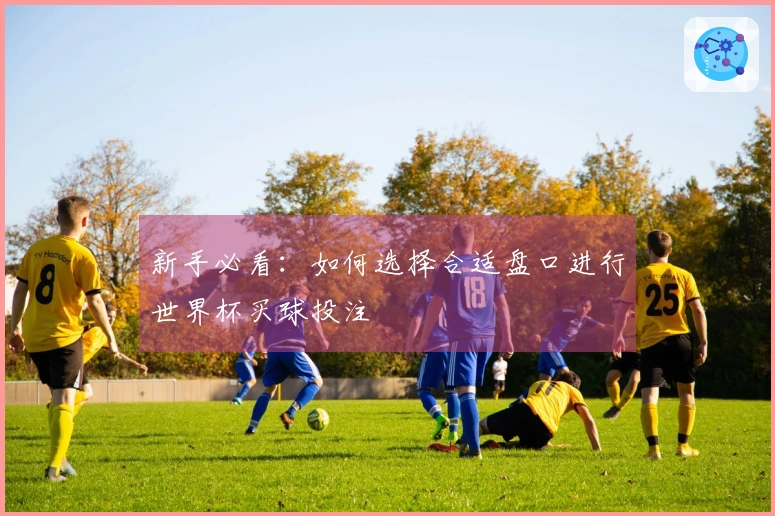 新手必看：如何选择合适盘口进行世界杯买球投注