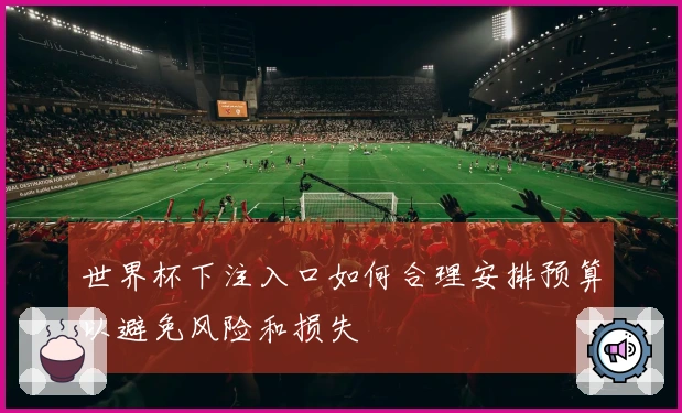 世界杯下注入口如何合理安排预算以避免风险和损失