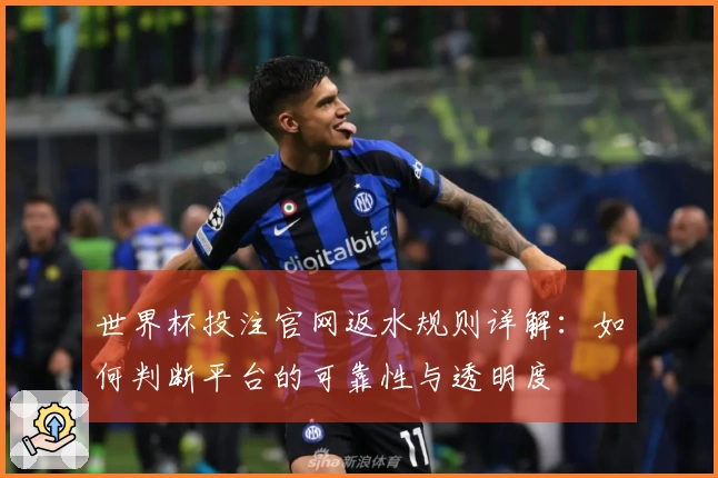 世界杯投注官网返水规则详解：如何判断平台的可靠性与透明度