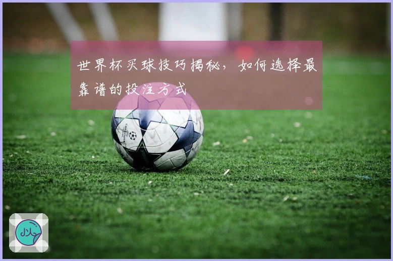 世界杯买球技巧揭秘，如何选择最靠谱的投注方式