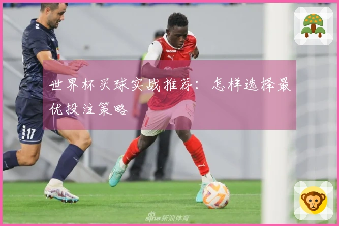 世界杯买球实战推荐：怎样选择最优投注策略