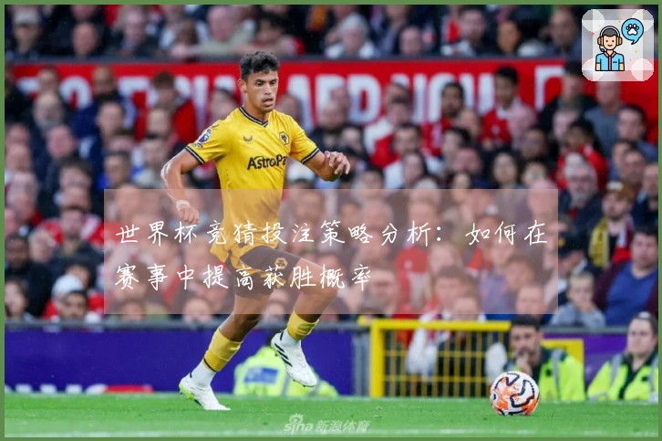 世界杯竞猜投注策略分析：如何在赛事中提高获胜概率