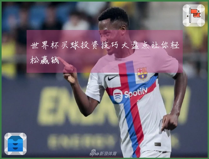世界杯买球投资技巧大盘点让你轻松赢钱