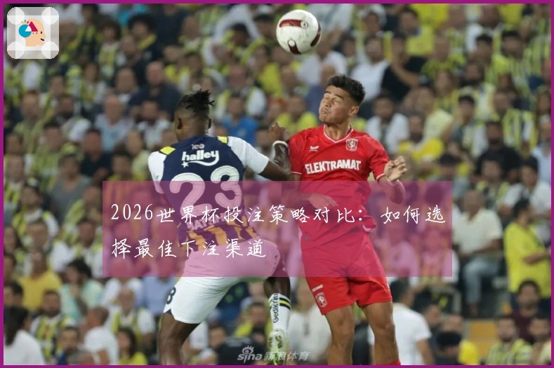 2026世界杯投注策略对比：如何选择最佳下注渠道