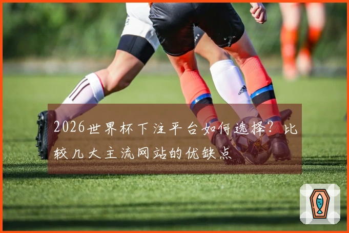 2026世界杯下注平台如何选择？比较几大主流网站的优缺点