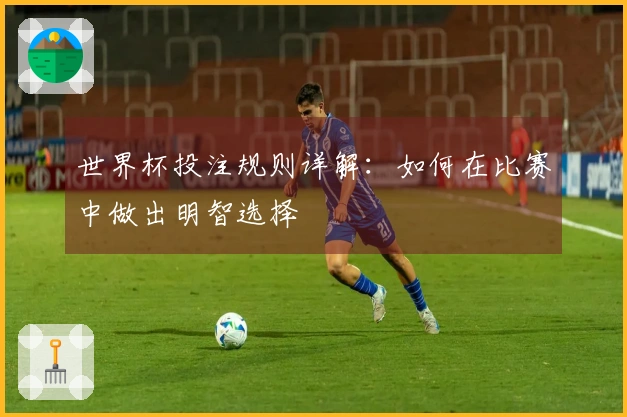 世界杯投注规则详解：如何在比赛中做出明智选择