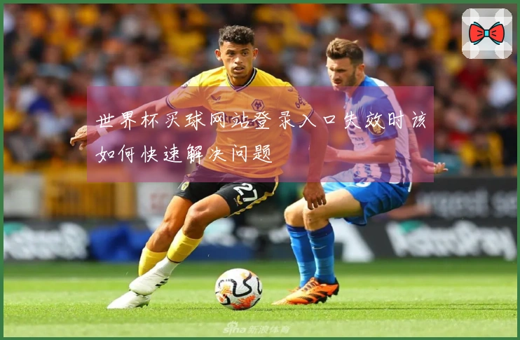世界杯买球网站登录入口失效时该如何快速解决问题