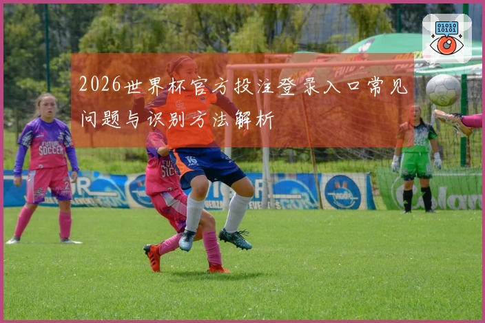 2026世界杯官方投注登录入口常见问题与识别方法解析
