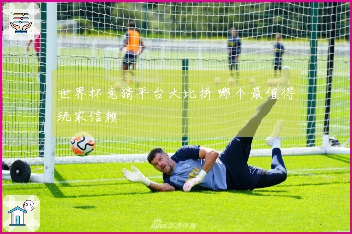 世界杯竞猜平台大比拼 哪个最值得玩家信赖