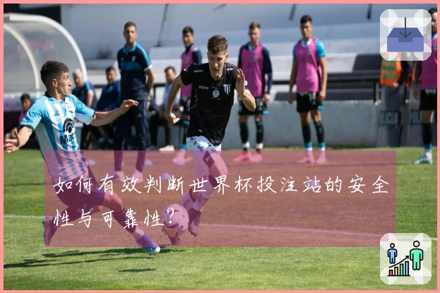 如何有效判断世界杯投注站的安全性与可靠性？