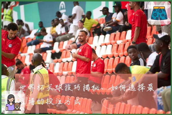 世界杯买球技巧揭秘，如何选择最靠谱的投注方式