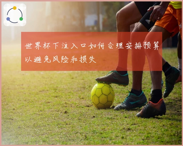 世界杯下注入口如何合理安排预算以避免风险和损失