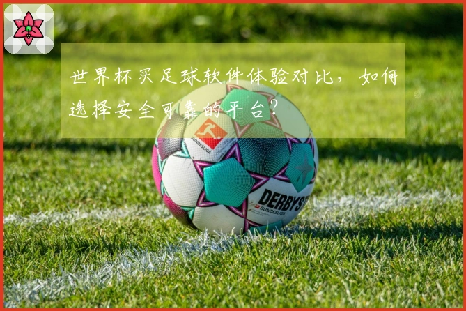 世界杯买足球软件体验对比,如何选择安全可靠的平台?