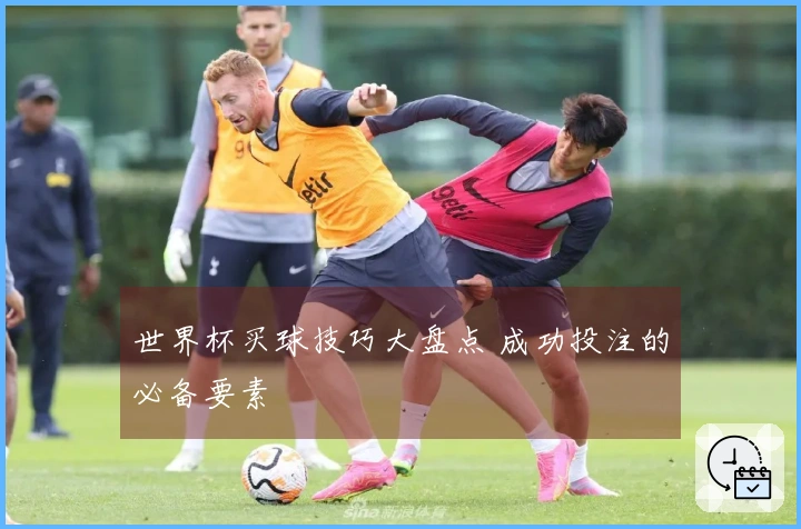 世界杯买球技巧大盘点 成功投注的必备要素