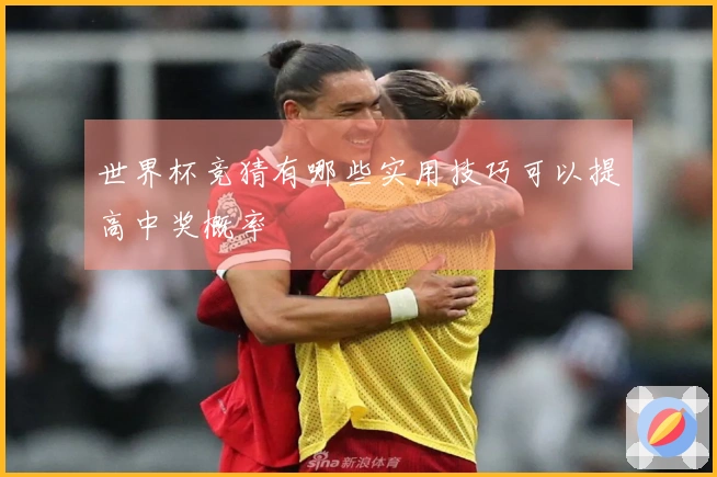 世界杯竞猜有哪些实用技巧可以提高中奖概率