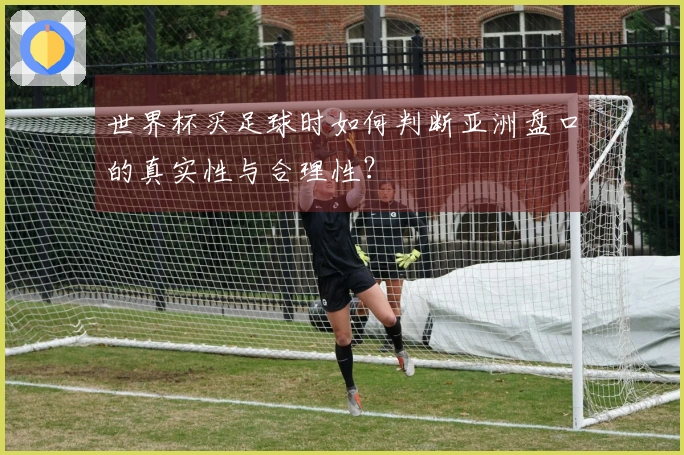 世界杯买足球时如何判断亚洲盘口的真实性与合理性？
