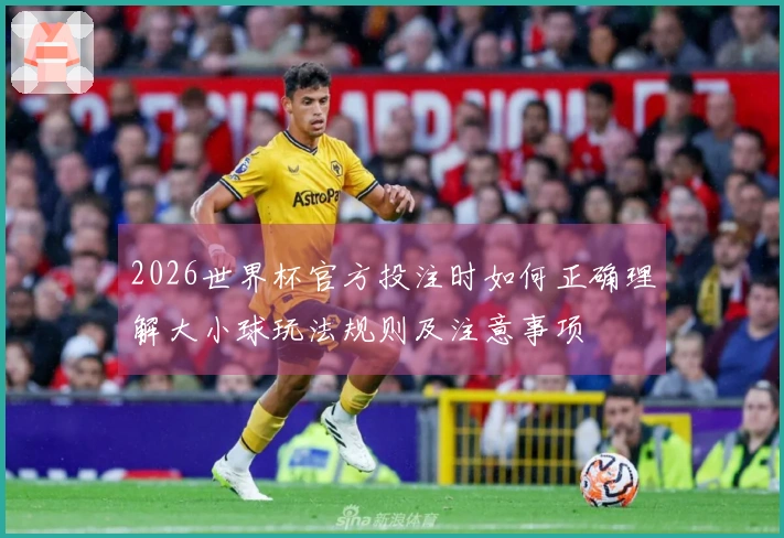 2026世界杯官方投注时如何正确理解大小球玩法规则及注意事项